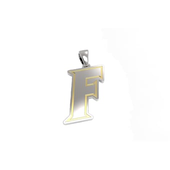 "FanDrip Florida Gators 24"" Stainless Steel Pendant Necklace"
