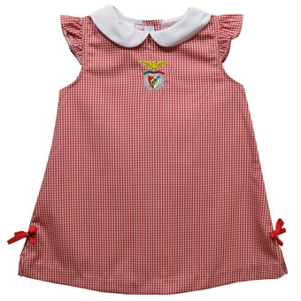 Girls Toddler Vive La Fete  Red Benfica Mini Check Pattern A-Line Dress
