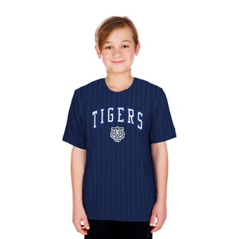 Youth New Era  Navy Detroit Tigers City Connect Pinstripe T-Shirt