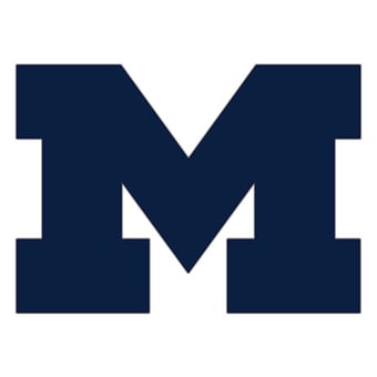 Michigan Wolverines 24" Logo Cutout Sign