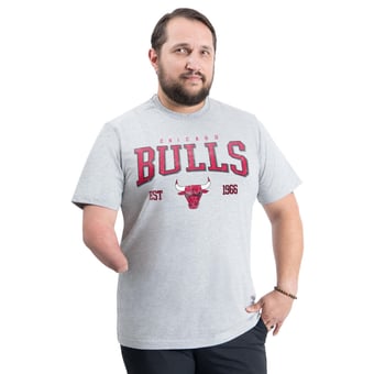 Men's G-III Sports by Carl Banks Gray Chicago Bulls Adaptive Classic Team Spirit Short Sleeve T-Shirt