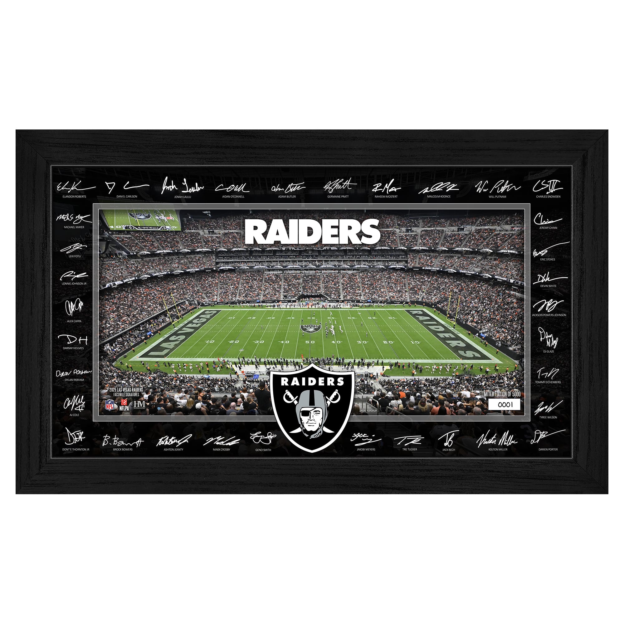 Highland Mint Las Vegas Raiders 12″ x 20″ 2025 Signature Gridiron Panoramic Framed Photo