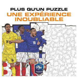 France Puzzle en bois pour 6 joueurs, taille L (500 pièces), vue 4