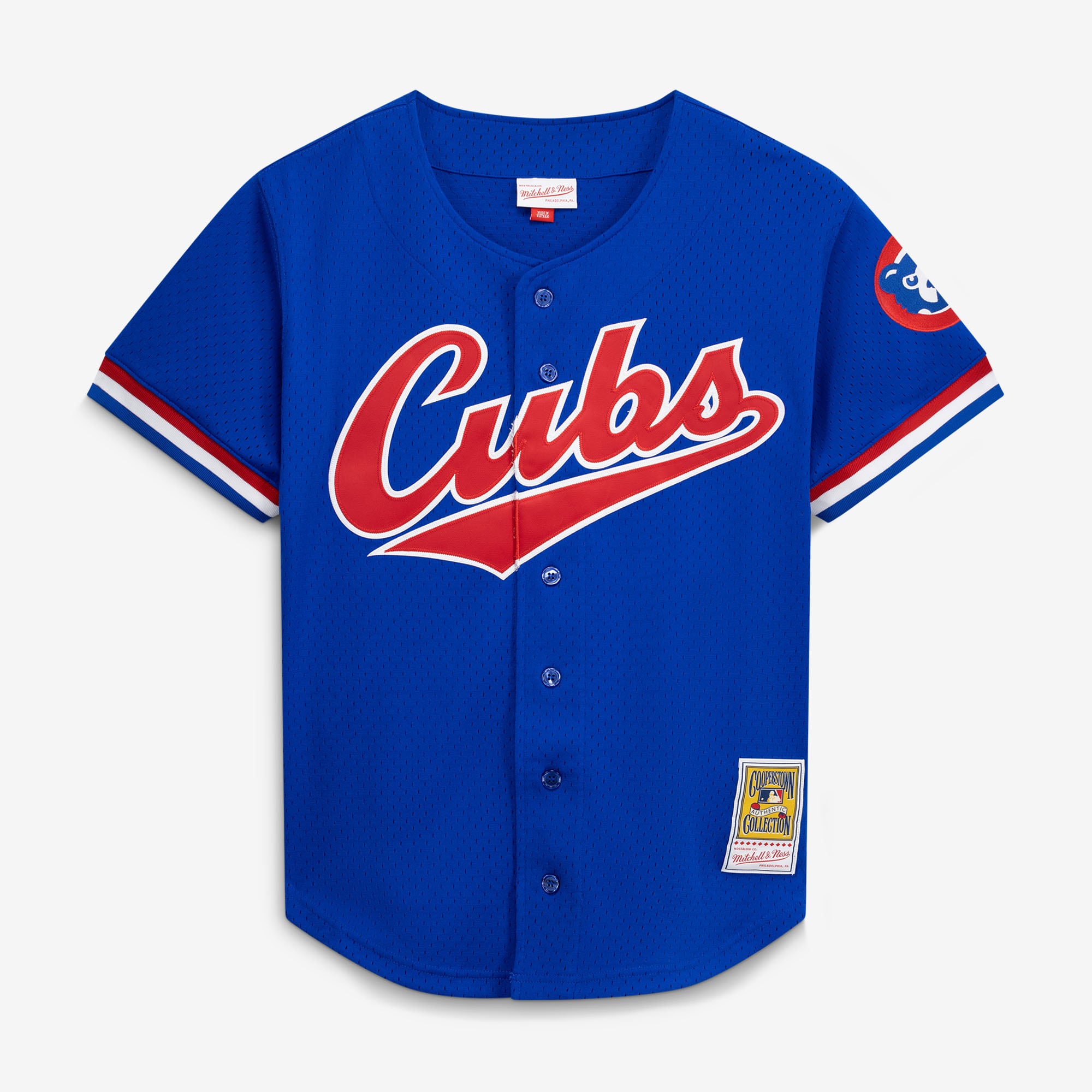 Men's Mitchell & Ness Ryne Sandberg Royal Chicago Cubs Cooperstown Collection 1996 Mesh Batting Practice Button-Up Jersey