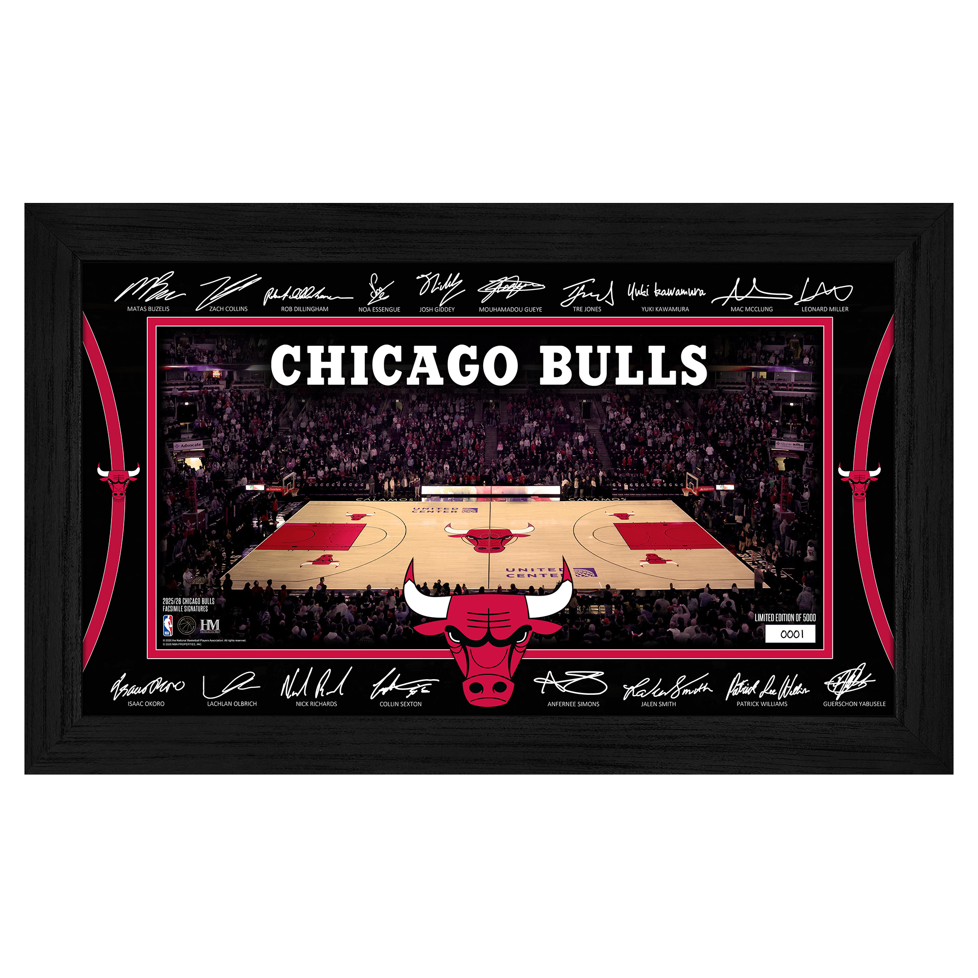 Highland Mint  Chicago Bulls 2025 Signature Court Framed Picture
