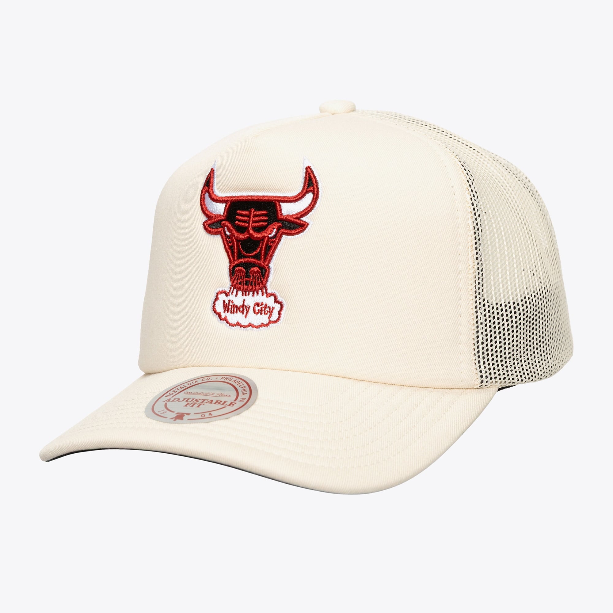 Chicago Bulls Mitchell & Ness Evergreen Trucker Hwc