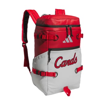 Louisville Cardinals Bags