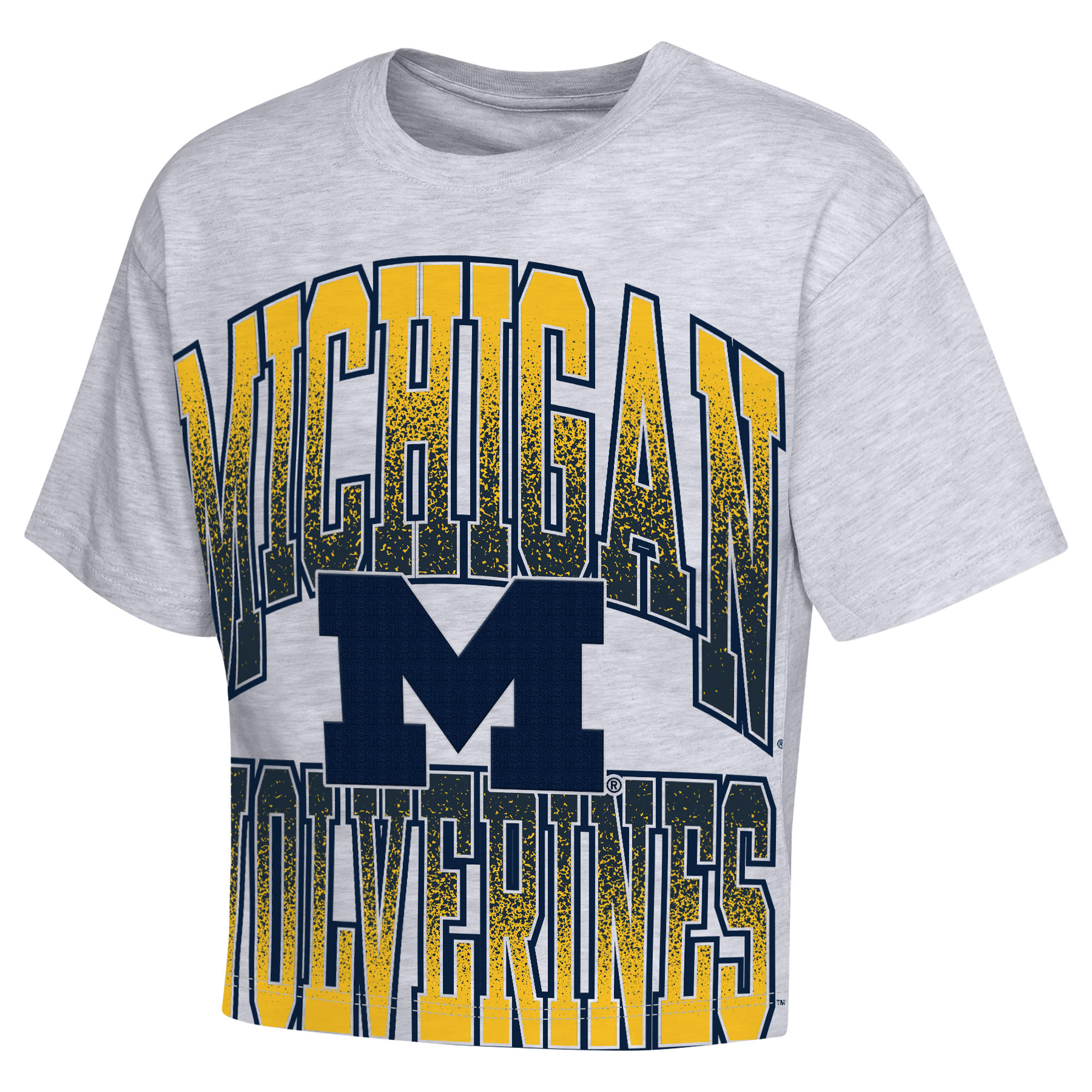 Girls Youth Outerstuff Heather Gray Michigan Wolverines Big Team Energy Cropped Boxy T-Shirt