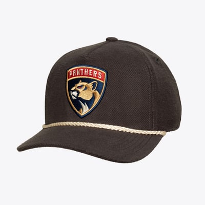 Men's Mitchell & Ness  Charcoal Florida Panthers Heritage Hues Pro Crown Snapback Hat