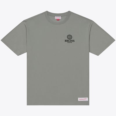 Men's Mitchell & Ness Gray Boston Bruins Core Essentials T-Shirt