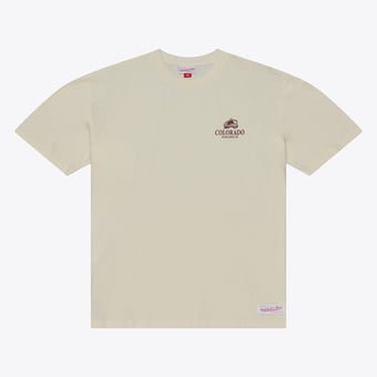 Men's Mitchell & Ness Cream Colorado Avalanche Core Essentials T-Shirt
