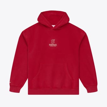 Men's Mitchell & Ness Garnet Florida State Seminoles Core Icon Fleece Hoodie