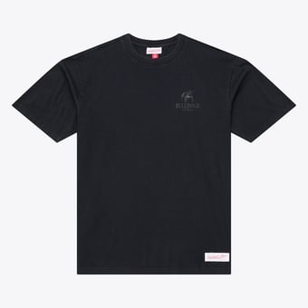 Men's Mitchell & Ness  Black Georgia Bulldogs Monochrome Icon T-Shirt