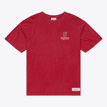 Men's  Mitchell & Ness  Garnet Florida State Seminoles Core Icon T-Shirt
