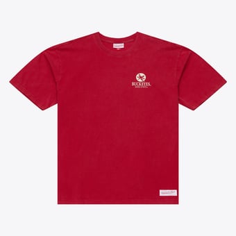 Men's  Mitchell & Ness  Scarlet Ohio State Buckeyes Core Icon T-Shirt