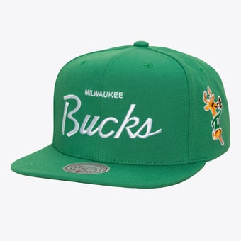 Men's Mitchell & Ness Kelly Green Milwaukee Bucks Head Coach Snapback Hat