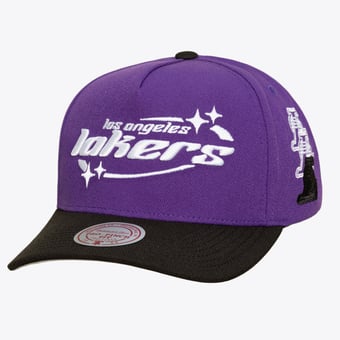 Men's Mitchell & Ness Purple Los Angeles Lakers 404 Club Starz Pro Snapback Hat