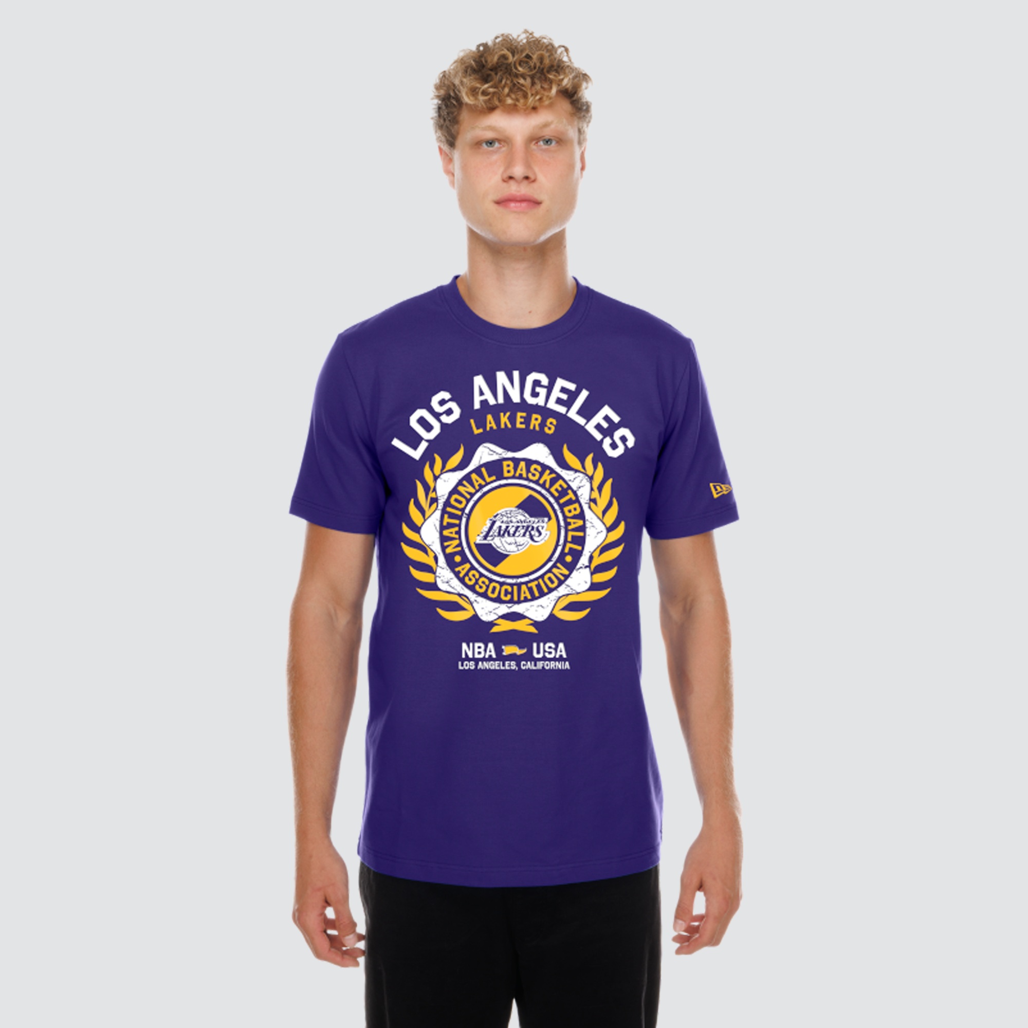 Men's New Era  Purple Los Angeles Lakers Laurel Crest Flocking T-Shirt