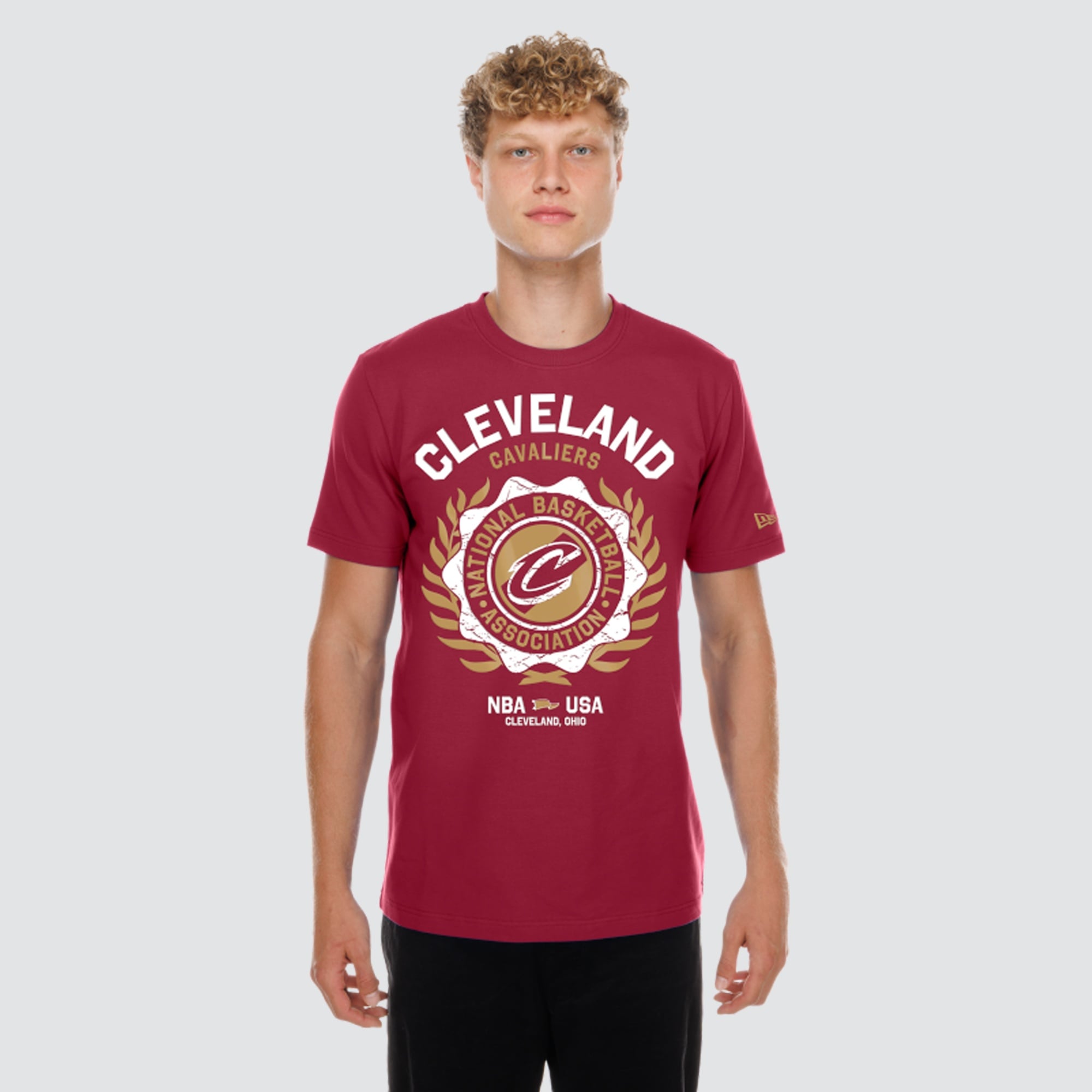 Men's New Era  Wine Cleveland Cavaliers Laurel Crest Flocking T-Shirt