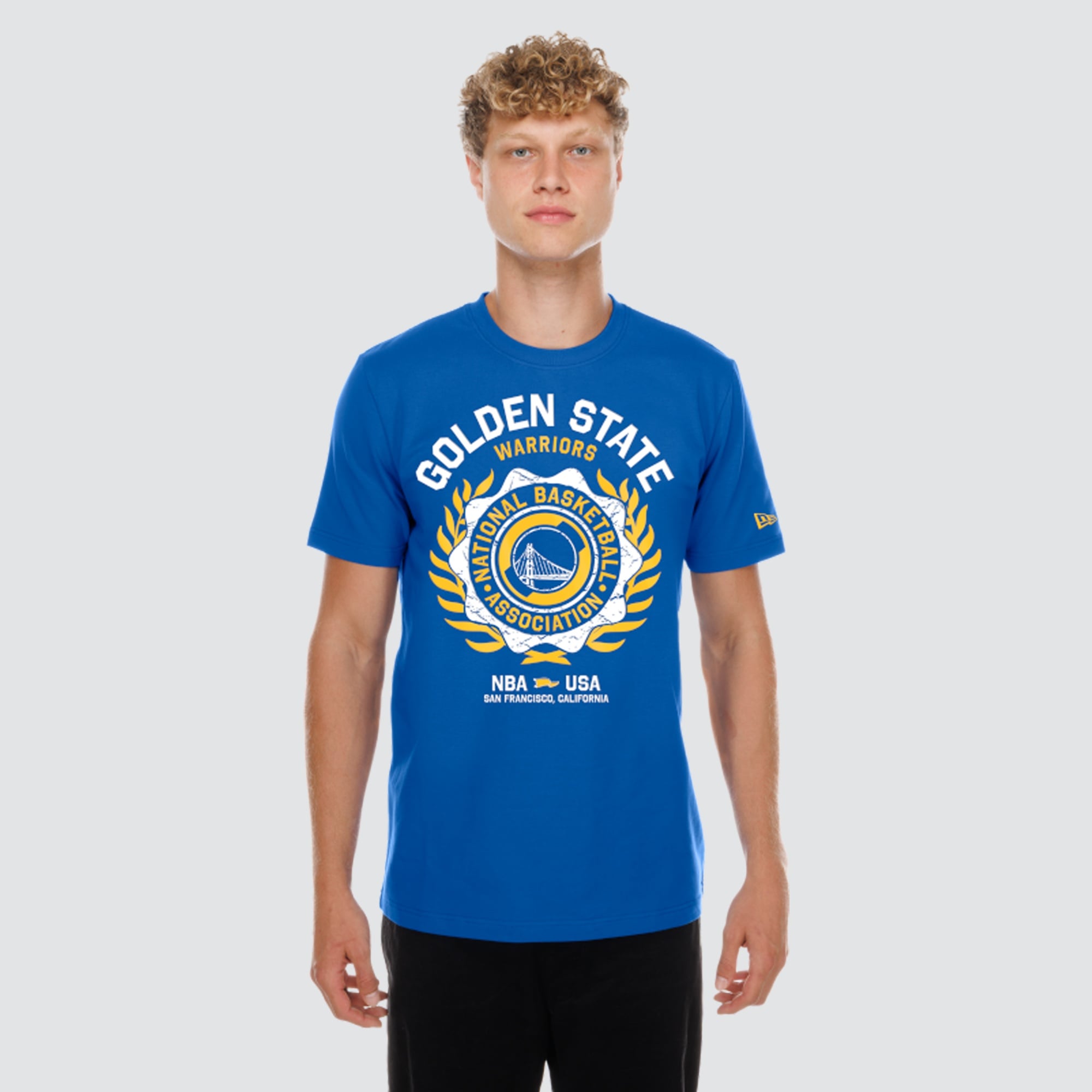 Men's New Era  Royal Golden State Warriors Laurel Crest Flocking T-Shirt