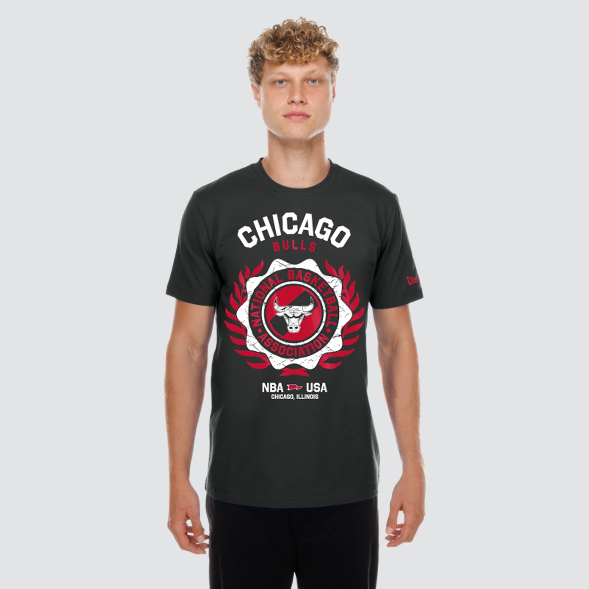 Men's New Era  Black Chicago Bulls Laurel Crest Flocking T-Shirt