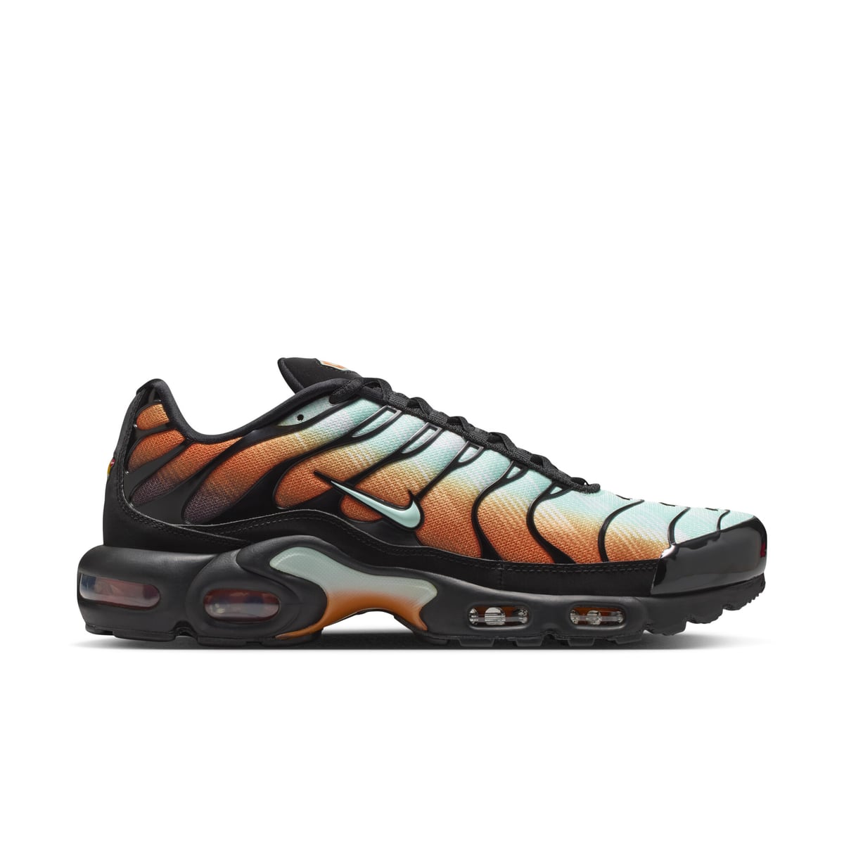 France Nike Air Max Plus