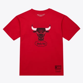 Unisex Mitchell & Ness  Red Chicago Bulls Hardwood Classics Arch T-Shirt