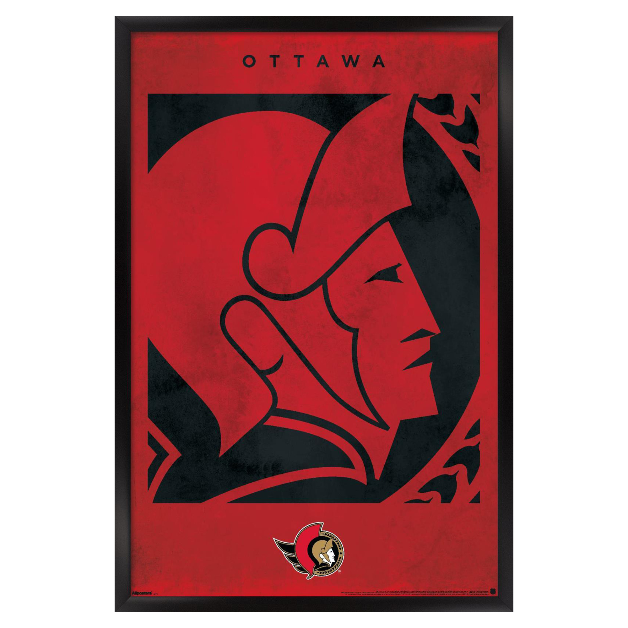 Ottawa Senators 23" x 34" Framed Poster