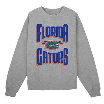 Preschool Outerstuff Gray Florida Gators Jet Stream Sweatshirt