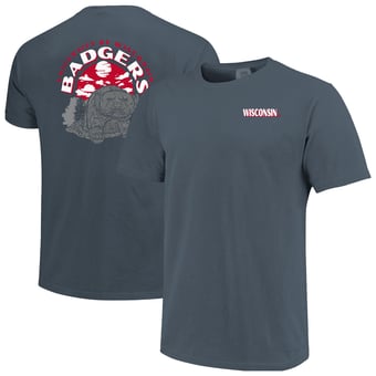 Men's  Navy Wisconsin Badgers Comfort Colors Team Statue T-Shirt