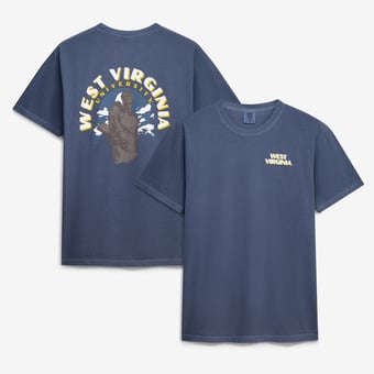 Men's  Navy West Virginia Mountaineers Comfort Colors Team Statue T-Shirt