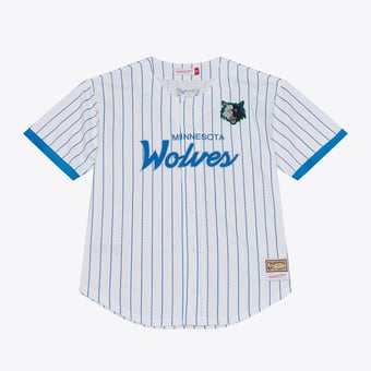 Men's Mitchell & Ness White Minnesota Timberwolves Head Coach Pinstripe Mesh Full-Button Baseball Jersey