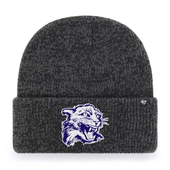 Unisex '47 Black Northwestern Wildcats Brain Freeze Cuff Knit Hat