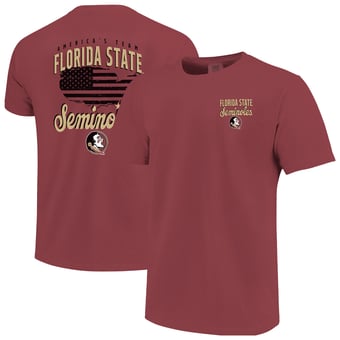 Men's  Garnet Florida State Seminoles America's Team T-Shirt