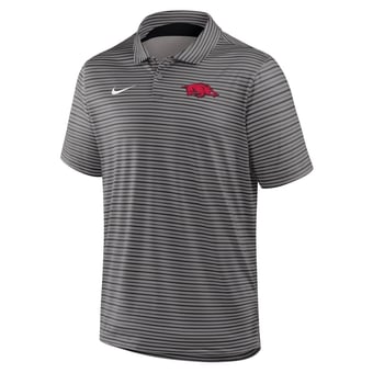 Men's Nike Gray Arkansas Razorbacks Dri-FIT Tour Stripe Polo