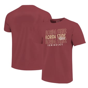 Men's  Garnet Florida State Seminoles Alumni Script Overlay T-Shirt