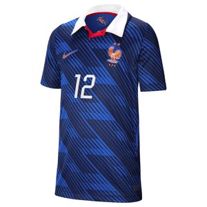 Maillot France Nike FFF Domicile Stadium 26 - Enfant avec flocage Barcola 12, vue 3