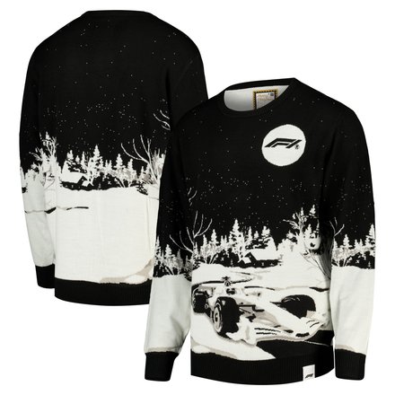 Formula 1 Novelty Christmas Jumper