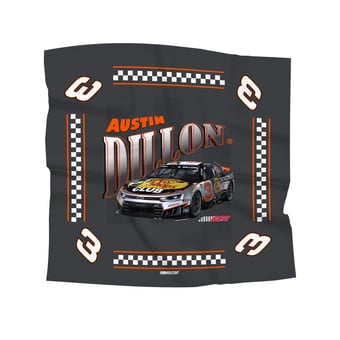 The Northwest Group Austin Dillon Whimsical Checks Bandana