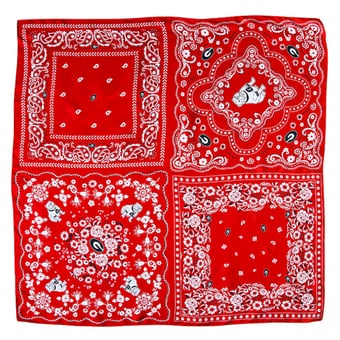 Smith & Quinn Georgia Bulldogs Square Silk Scarf