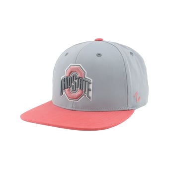 Unisex Zephyr  Gray Ohio State Buckeyes Pastel Fitted Hat