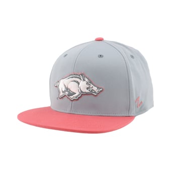 Unisex Zephyr  Gray Arkansas Razorbacks Pastel Fitted Hat