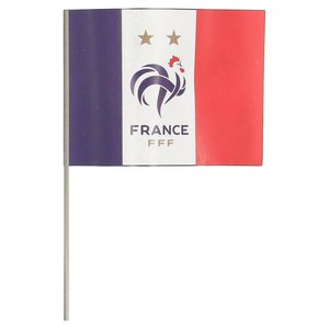 Drapeau français avec hampe 30x45cm, vue 1