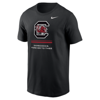 Men's Nike  Black South Carolina Gamecocks Dri-FIT T-Shirt