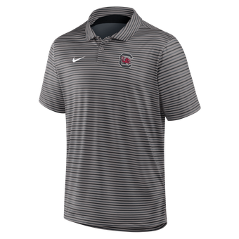 Men's Nike Gray South Carolina Gamecocks Coaches Dri-FIT Tour Stripe Polo
