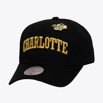 Men's Mitchell & Ness Black Charlotte Hornets Hardwood Classics Pinned Gold Pro Crown Snapback Hat
