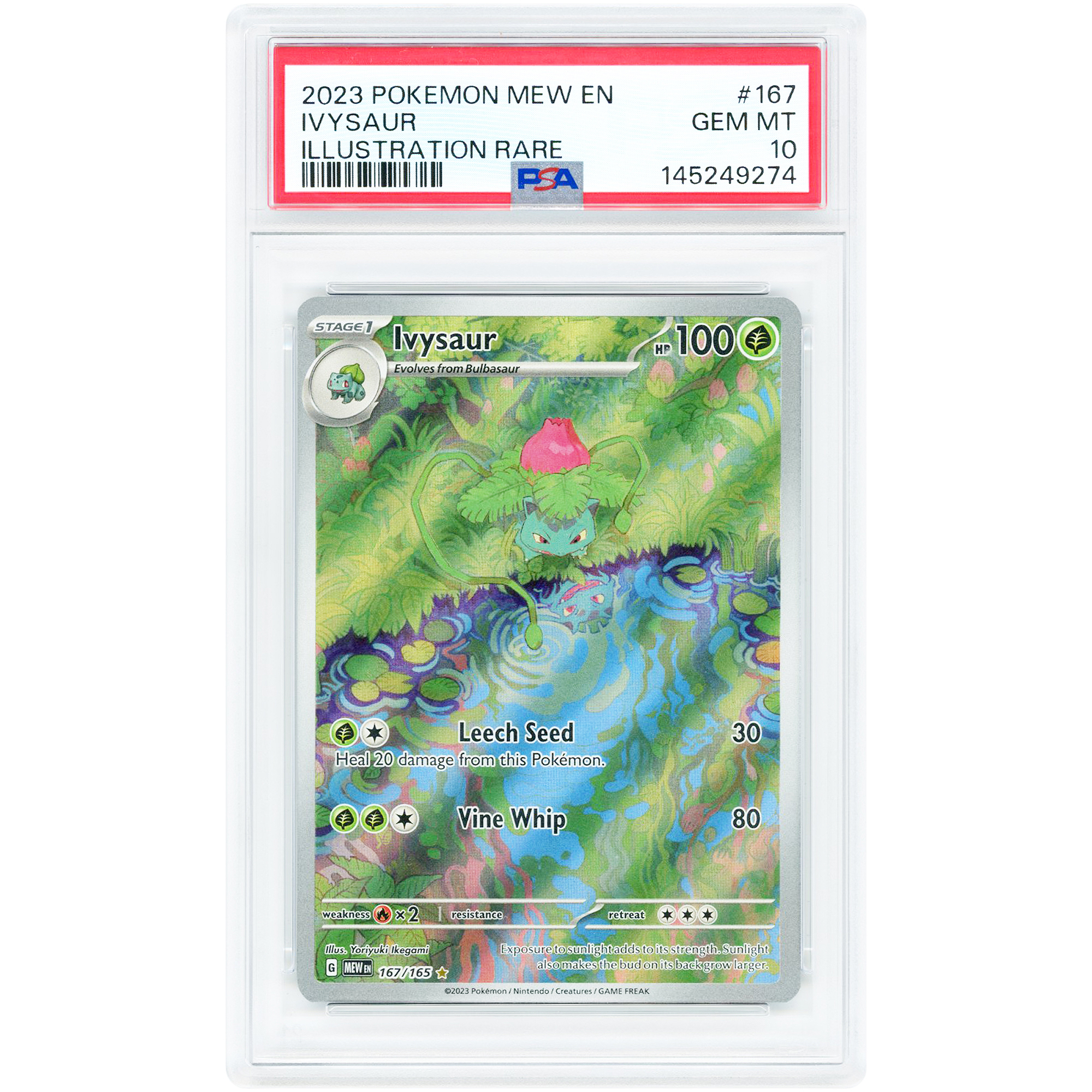 Ivysaur 2023 Pokemon Scarlet & Violet 151 Illustration Rare #167 PSA Authenticated 10 Card