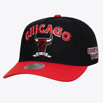 Men's Mitchell & Ness Black Chicago Bulls True Legacy Pro Snapback Hat