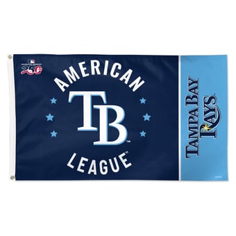 WinCraft Tampa Bay Rays 3' x 5' One-Sided America 250 Deluxe Flag