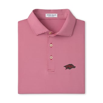 Men's Peter Millar  Cardinal Arkansas Razorbacks Jubilee Stripe Stretch Jersey Polo